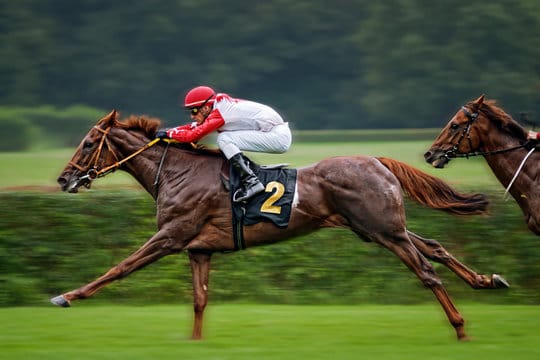 How Social Media Tips Influence Betting Decisions During Royal Ascot